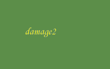 damage2