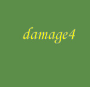 damage4